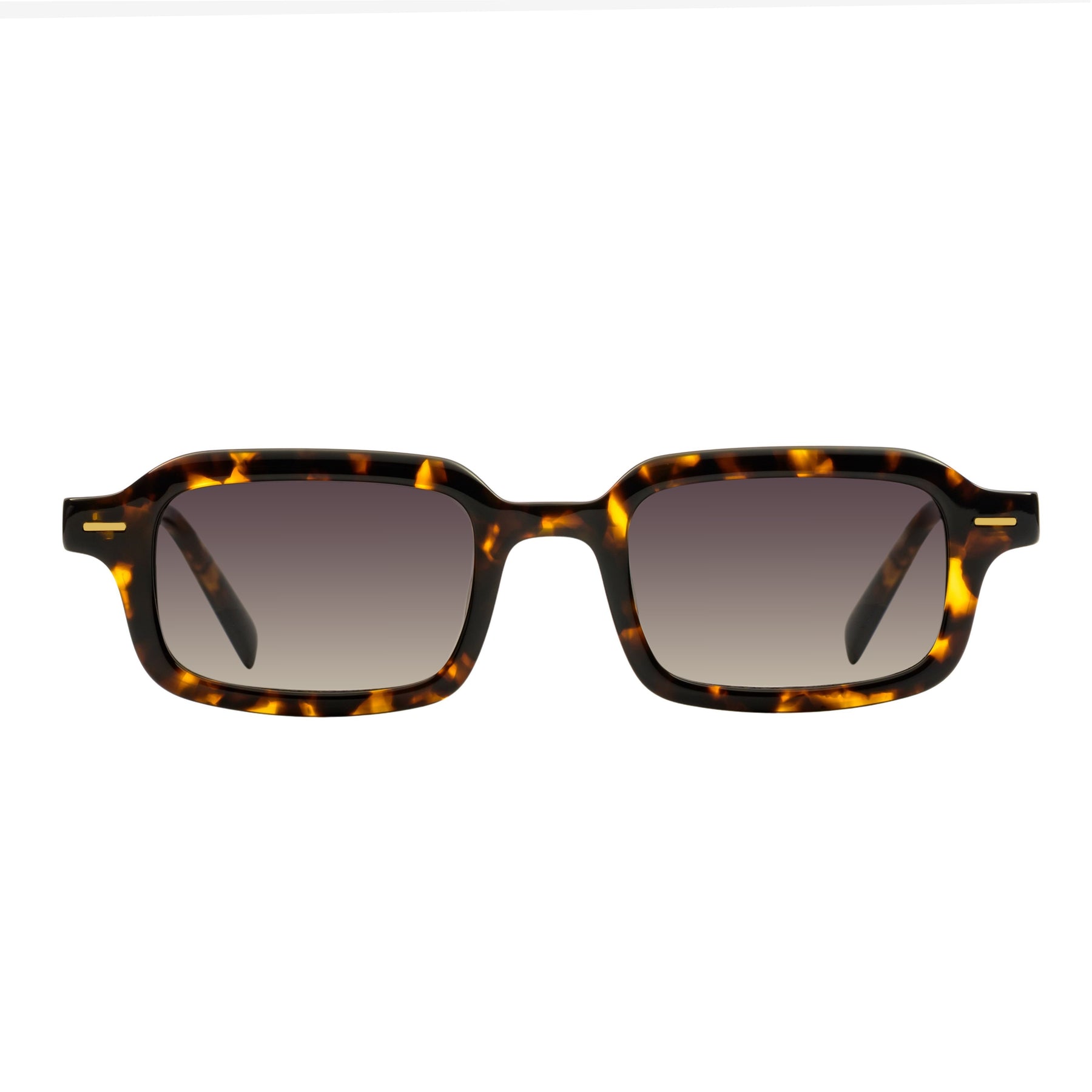 Χελώνα Άργουεν