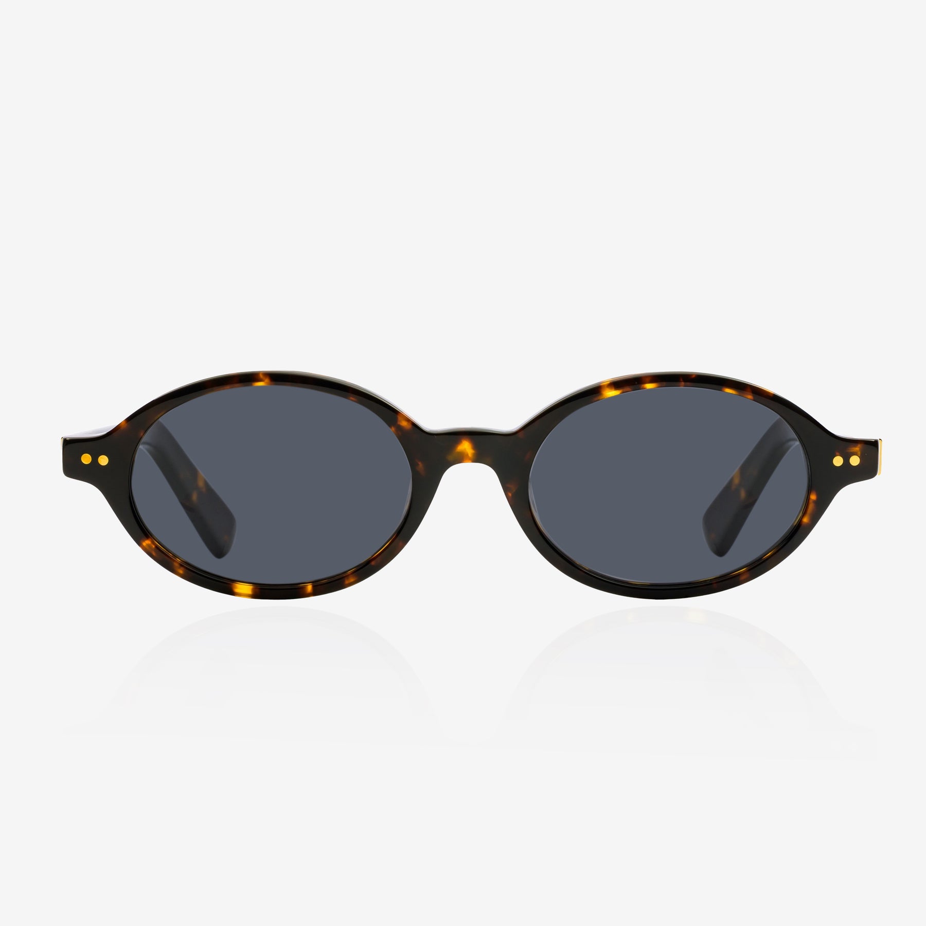 Σταχτί χελώνα