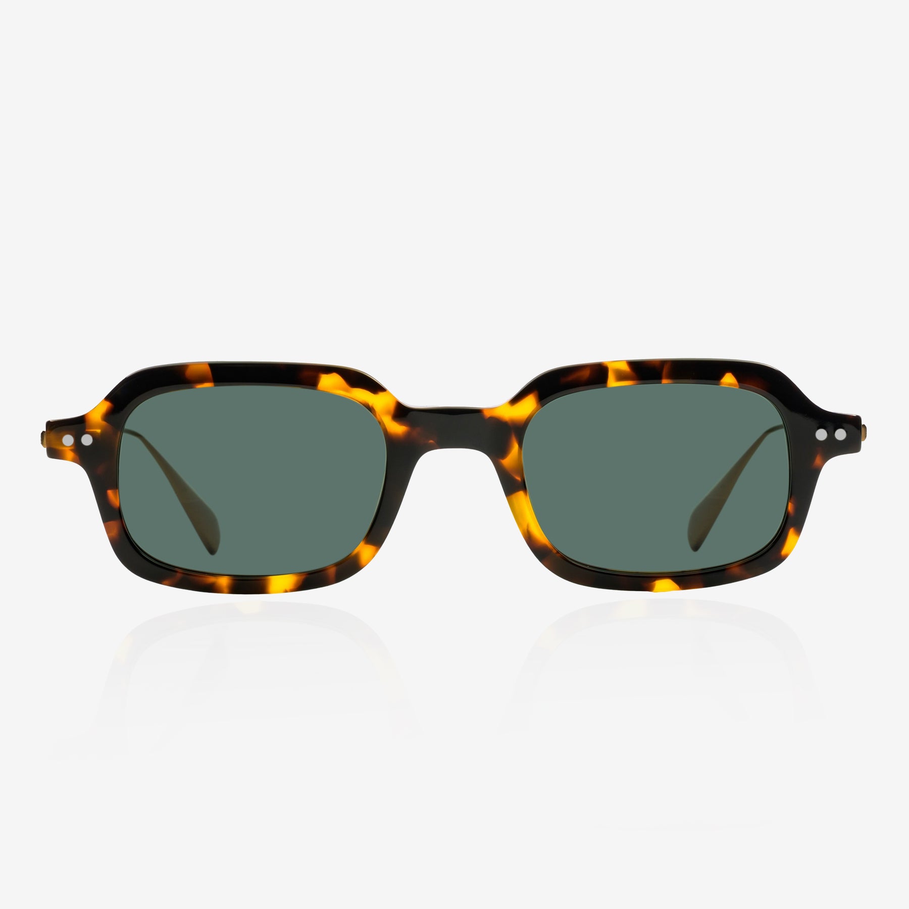 Χελώνα της Ανατολής