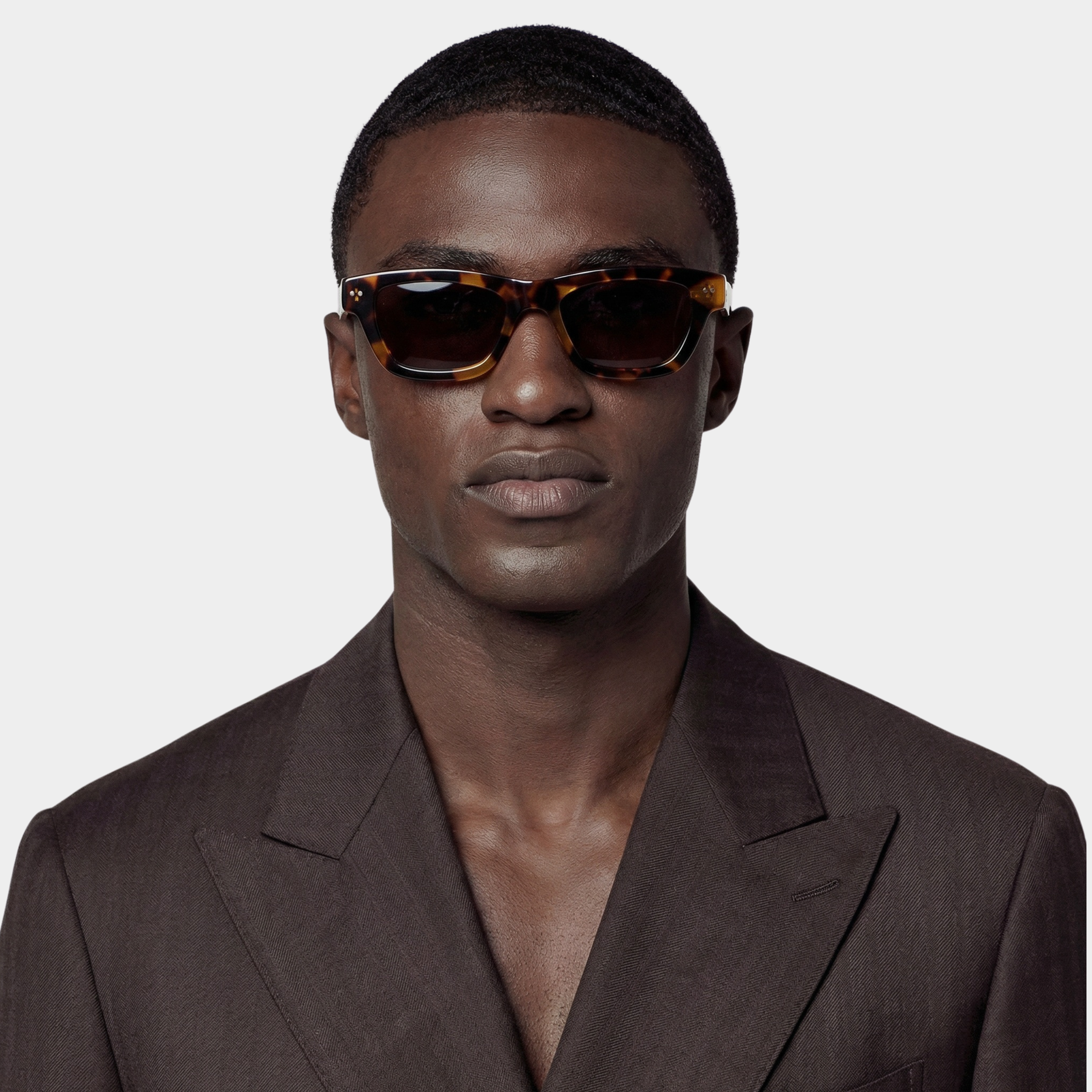 "VIII" Χελώνα - Επετειακό Μοντέλο