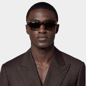 "VIII" Χελώνα - Επετειακό Μοντέλο