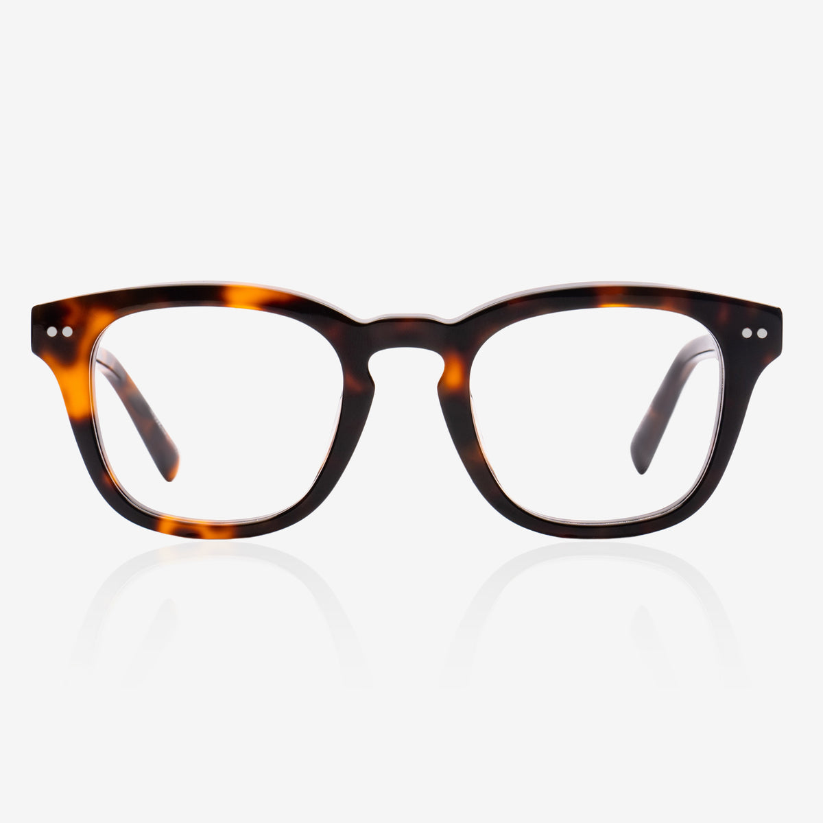 Hampton Tortoise Optical